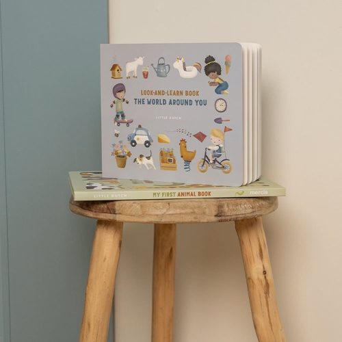 Little Dutch képeskönyv - the world around you