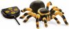 Távirányítós pók tarantula Buki