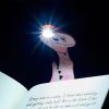 Flexilight - dinós - pink - Thinking Gifts