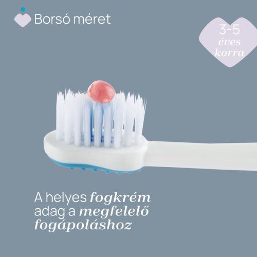 Fogkefe 3-6 év tejfogakhoz, tapadókorongos védőkupakkal - Chicco