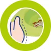 Easy Feeding csúszásmentes tányér rózsaszín - Chicco