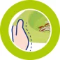 Easy Feeding csúszásmentes tányér rózsaszín - Chicco