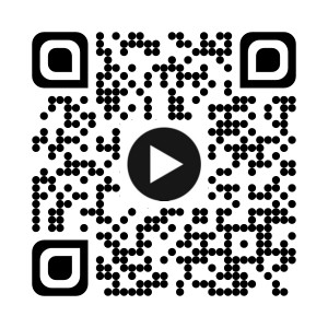 Djeco Homokkép készítés - Káprázatos madarak - Dazzling birds