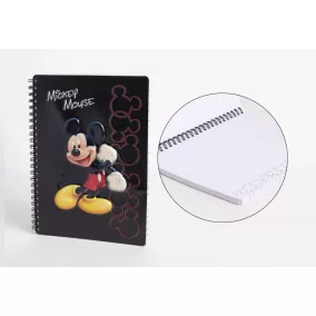DISN.NOTESZ MICKEY