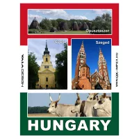 Hütőmágnesek