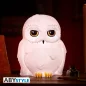 Harry Potter LED lámpa Hedwig