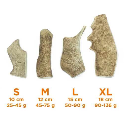 EXPLORER DOG Dámszarvas agancs rágóka M - kemény