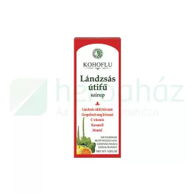 DR.CHEN KOHOFLU LÉGÚTTISZTÍTÓ SZIRUP 150ML