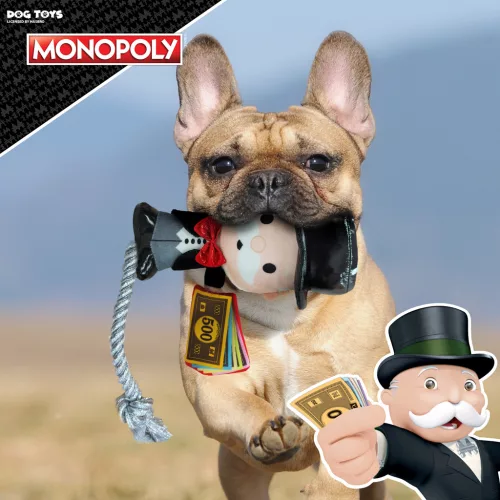 HASBRO Kutyajáték Monopoly Mr. Money plüss kötéllel húzáshoz 20 cm