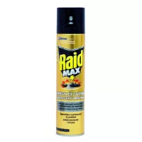 Raid