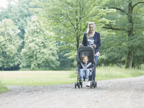 Koelstra Simba T4 Golf babakocsi Grey Melange