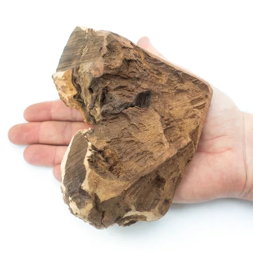 EXPLORER DOG Rágó heather gyökér L