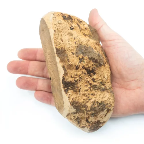 EXPLORER DOG Rágó heather gyökér M