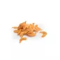 AF106 Freeze-Dried Antarctic Krill 20 gramm