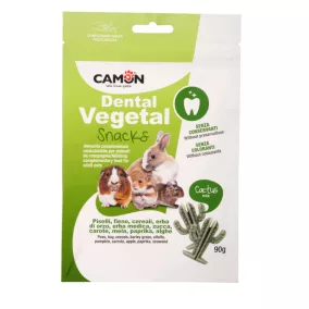H315 Snack rágcsálóknak kaktusz mix 90 g