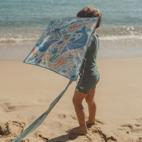 Little Dutch szélsárkány - Ocean World