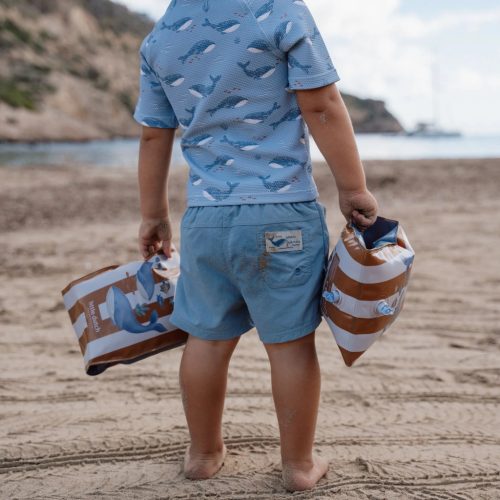 Little Dutch karúszó - Ocean World