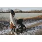 LIONELO Sport babakocsi Annet Plus Green Forest