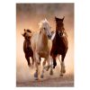 Vágtázó lovak puzzle poszterrel, 1000 darabos, 20x28 cm