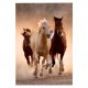 Vágtázó lovak puzzle poszterrel, 1000 darabos, 20x28 cm