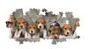 Puzzle, Beagle kutyák, poszterrel, 1000 db, 33x18 cm dob.