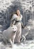 Puzzle, Anne Stokes, huskys, poszterrel, 1000 db, 28x37 cm dob.
