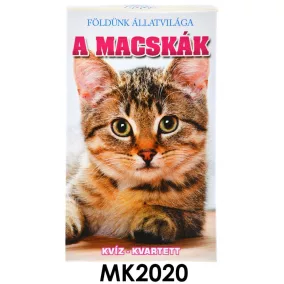   Macskás kvartett kártyajáték, szórakozás kicsiknek és nagyoknak.