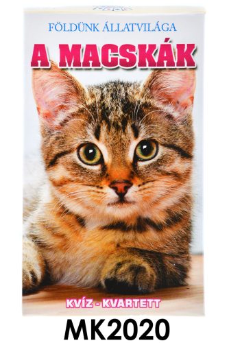 Macskás kvartett kártyajáték, szórakozás kicsiknek és nagyoknak.