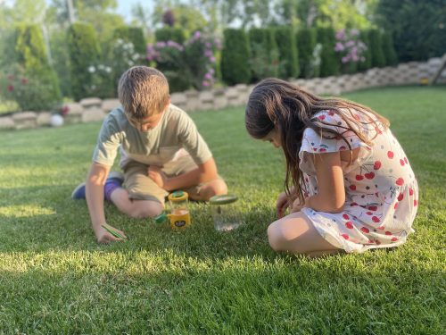 Három nézőszögű bogárvizsgáló - Triple Bug Viewer – 3 way