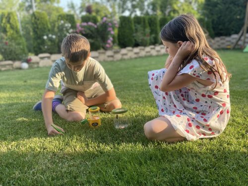 Három nézőszögű bogárvizsgáló - Triple Bug Viewer – 3 way