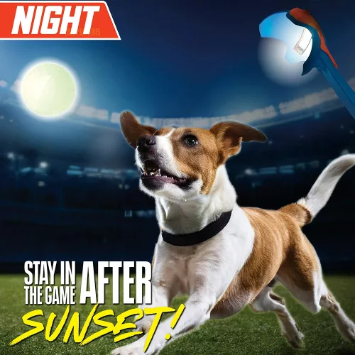 NERF DOG LED-es kutyajáték kilövő Air Strike világító funkcióval Próbáld ki