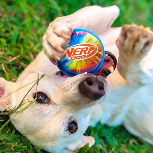 NERF DOG Játék kutyáknak sípoló labda színes fogantyúval 10 cm