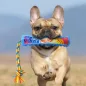   NERF DOG Kutyajáték sípoló húzó színes fogantyúval és textil kötéllel 29 cm