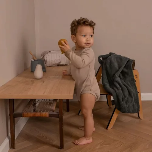 Nuuroo Levi neszeszer- Dínó