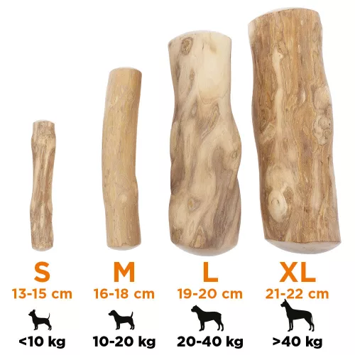 EXPLORER DOG Kávéfa rágóbot M