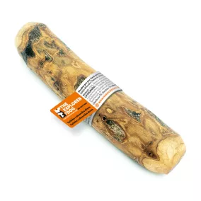 EXPLORER DOG  Olívafa rágóbot  L