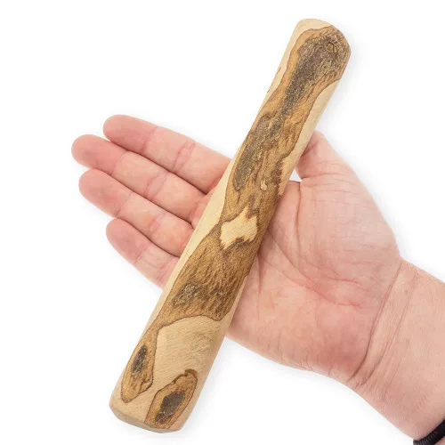 EXPLORER DOG  Olívafa rágóbot  M