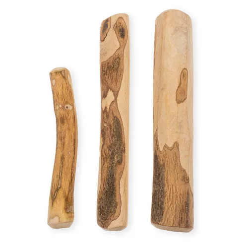 EXPLORER DOG  Olívafa rágóbot  M