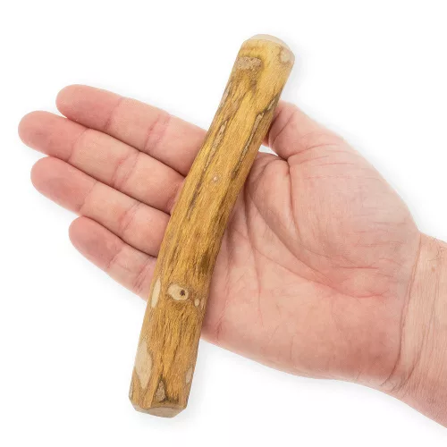 EXPLORER DOG  Olívafa rágóbot  S