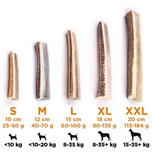 EXPLORER DOG Rágható szarvasagancs S  puha