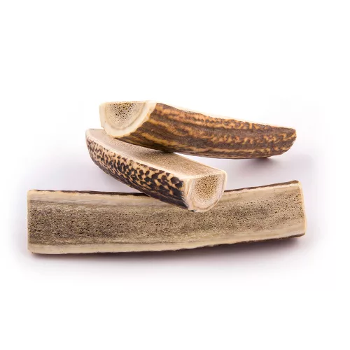 EXPLORER DOG Rágható szarvasagancs L puha