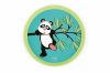Catch ball ügyességi játék pandák Scratch Europe