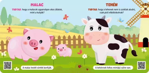 Miért Olyan szuperek a háziállatok?