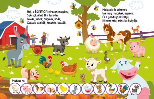 Hangos könyvecske - Számolóka