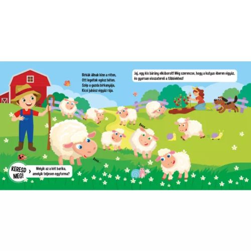 Fedezd fel a farmot! kartonkönyv mozgatható elemekkel