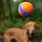 EXPLORER DOG AirBall Dent 6 cm