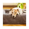 EXPLORER DOG Ortopédiai fekhely Cloud S 80x60 Vanília Bézs