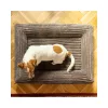 EXPLORER DOG Ortopédiai fekhely Cloud S 80x60 Vanília Bézs