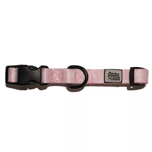 EXPLORER DOG Collar Rainbow S - 24-36x1, 5 cm