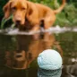 EXPLORER DOG Airball Türkiz 8 cm